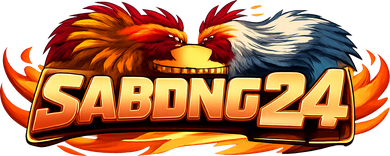 sabong24